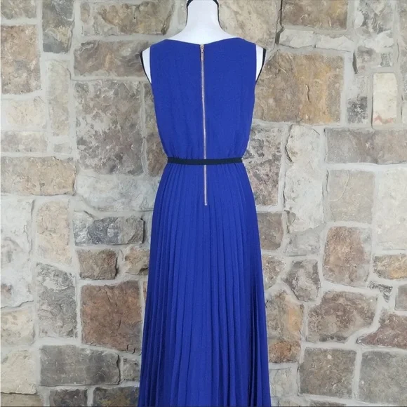 🪴HP🪴 Eliza J Pleated Full Length Maxi Dress Size 6 - Picture 4 of 8